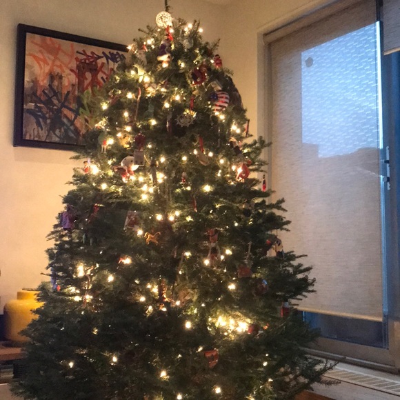 Meet your Posher, Anne - Picture 1 of 1